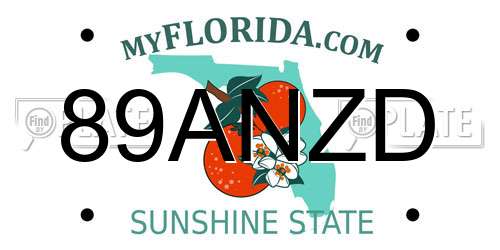 89ANZD Florida License Plate