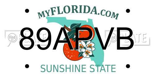 89APVB Florida License Plate