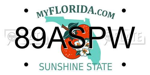 89ASPW Florida License Plate