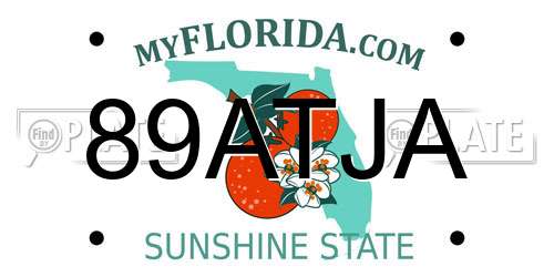 89ATJA Florida License Plate