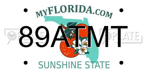 89ATMT Florida License Plate