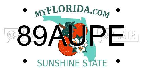 89AUPE Florida License Plate