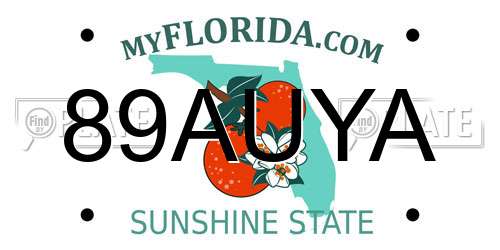 89AUYA Florida License Plate