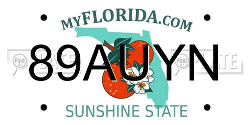 89AUYN Florida License Plate