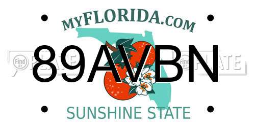 89AVBN Florida License Plate