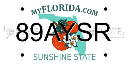 89AYSR Florida License Plate