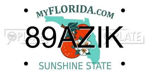 89AZIK Florida License Plate