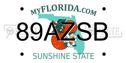 89AZSB Florida License Plate