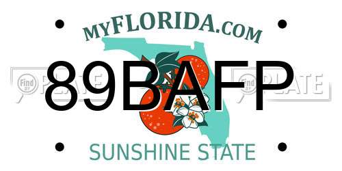 89BAFP Florida License Plate