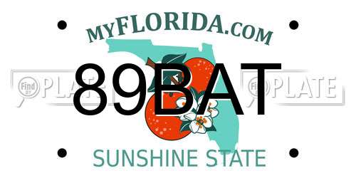 89BAT Florida License Plate