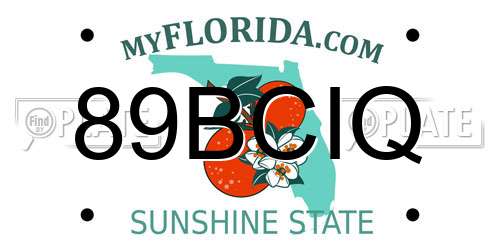 89BCIQ Florida License Plate