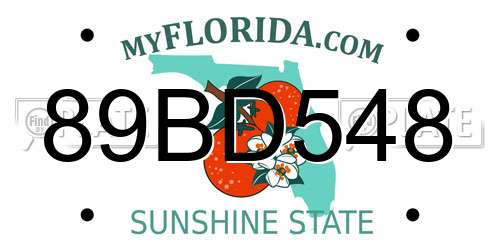 89BD548 Florida License Plate