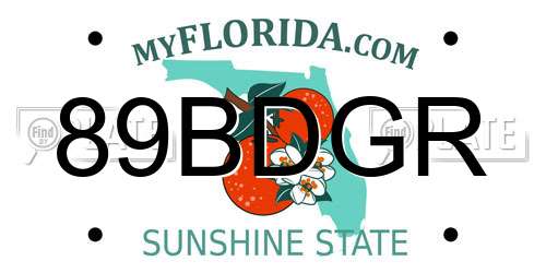 89BDGR Florida License Plate