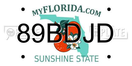 89BDJD Florida License Plate