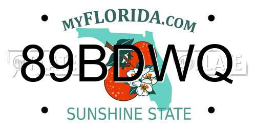 89BDWQ Florida License Plate