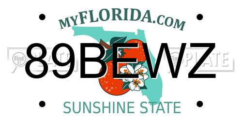 89BEWZ Florida License Plate