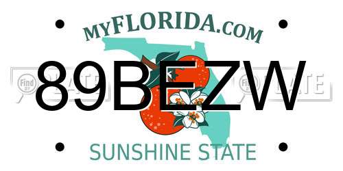89BEZW Florida License Plate