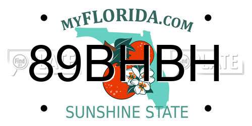 89BHBH Florida License Plate