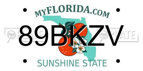 89BKZV Florida License Plate