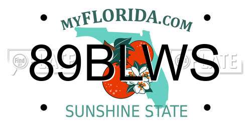 89BLWS Florida License Plate