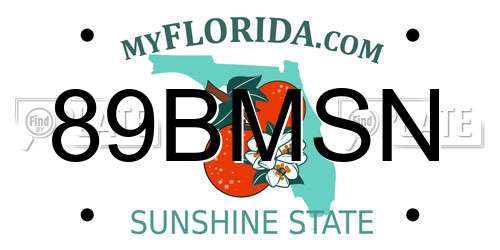 89BMSN Florida License Plate