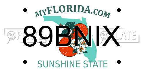 89BNIX Florida License Plate