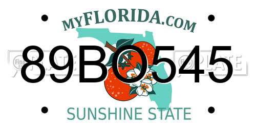 89BO545 Florida License Plate