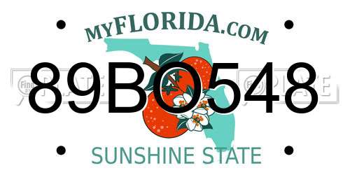 89BO548 Florida License Plate