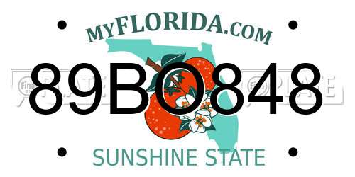 89BO848 Florida License Plate