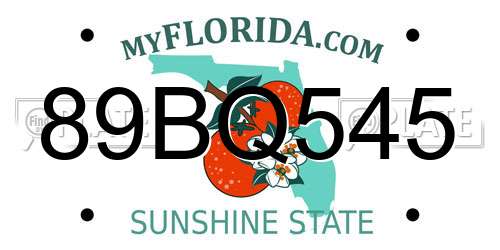 89BQ545 Florida License Plate
