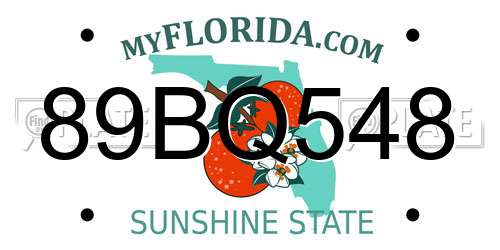 89BQ548 Florida License Plate