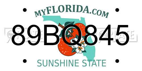 89BQ845 Florida License Plate