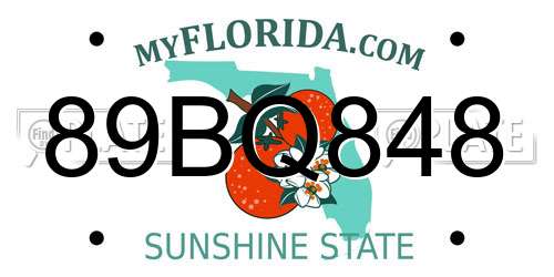 89BQ848 Florida License Plate