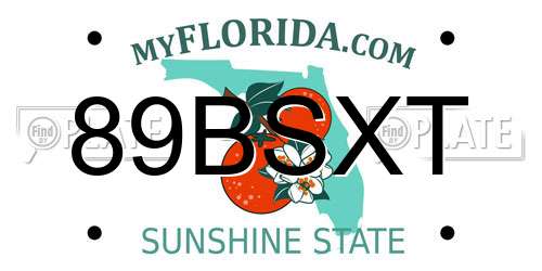 89BSXT Florida License Plate