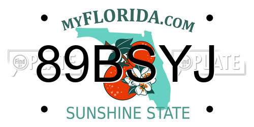 89BSYJ Florida License Plate