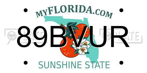 89BVUR Florida License Plate