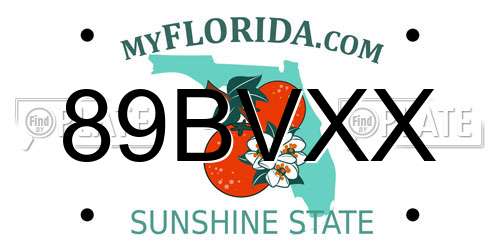 89BVXX Florida License Plate