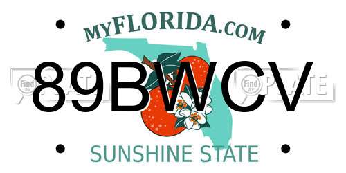 89BWCV Florida License Plate