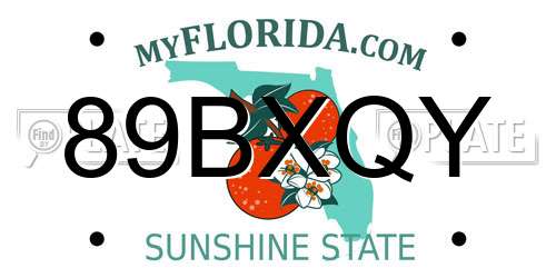 89BXQY Florida License Plate