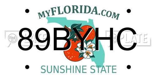 89BYHC Florida License Plate