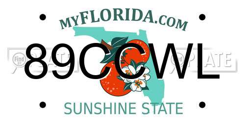 89CCWL Florida License Plate