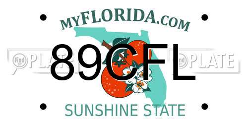 89CFL Florida License Plate