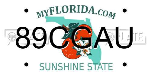 89CGAU Florida License Plate