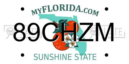 89CHZM Florida License Plate