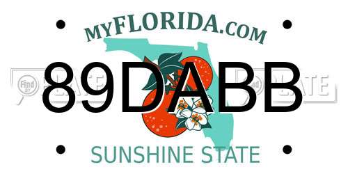 89DABB Florida License Plate