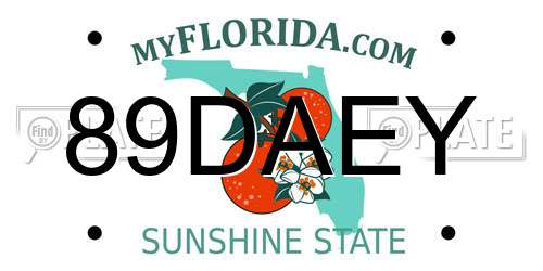 89DAEY Florida License Plate