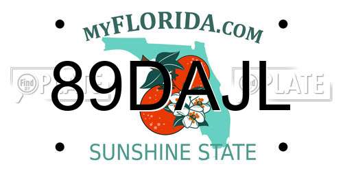 89DAJL Florida License Plate