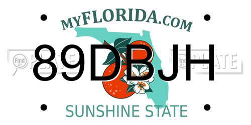 89DBJH Florida License Plate
