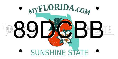 89DCBB Florida License Plate