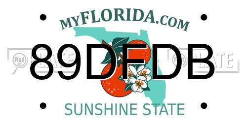 89DFDB Florida License Plate